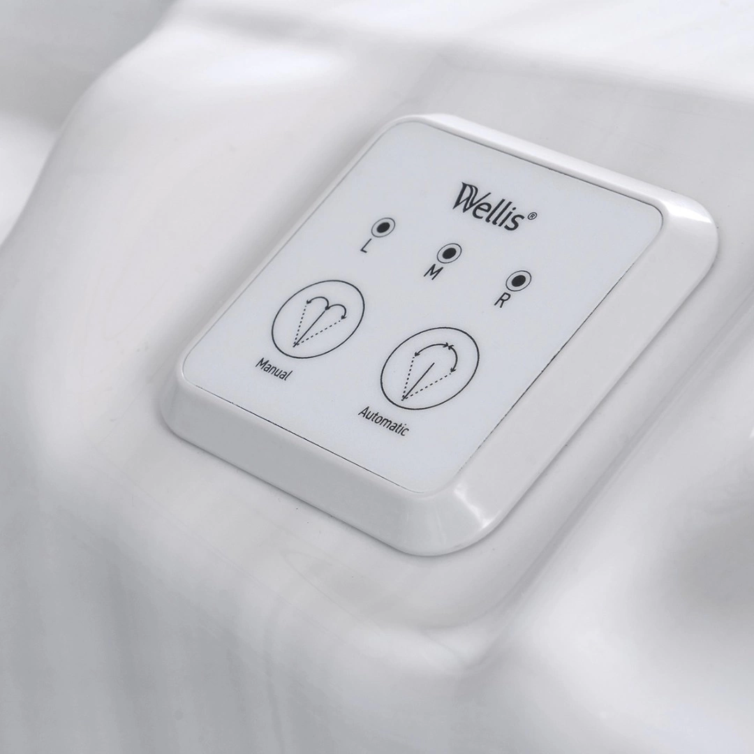 Спа-бассейн Wellis Everest Life Premium