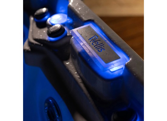 Спа-бассейн Wellis Olympus Life