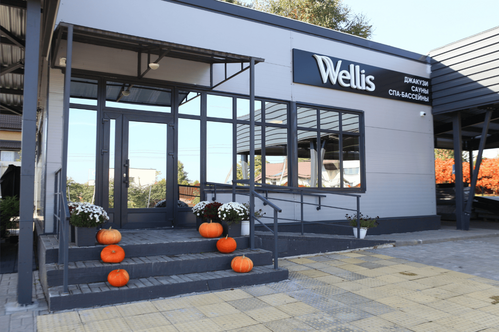 Новый шоурум всесезонных спа-бассейнов Wellis открыл свои двери